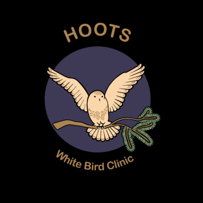hoots-logo